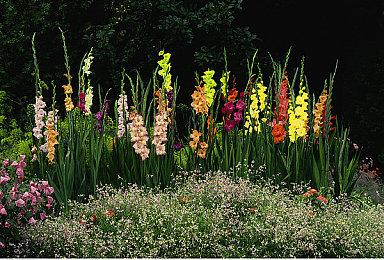  V社新作《Deadlock》是美国8月Steam最热门游戏