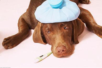 《战地1》Steam低价促销 在线人数是《战地2042》的10倍